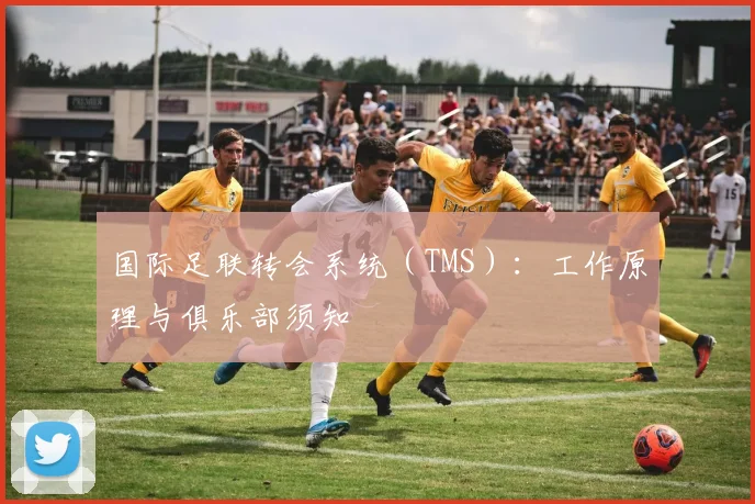 国际足联转会系统（TMS）：工作原理与俱乐部须知