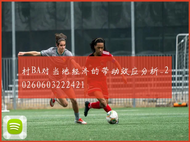 村BA对当地经济的带动效应分析_20260603222421