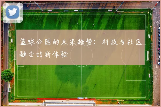 篮球公园的未来趋势:科技与社区融合的新体验
