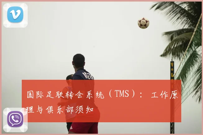 国际足联转会系统(TMS):工作原理与俱乐部须知