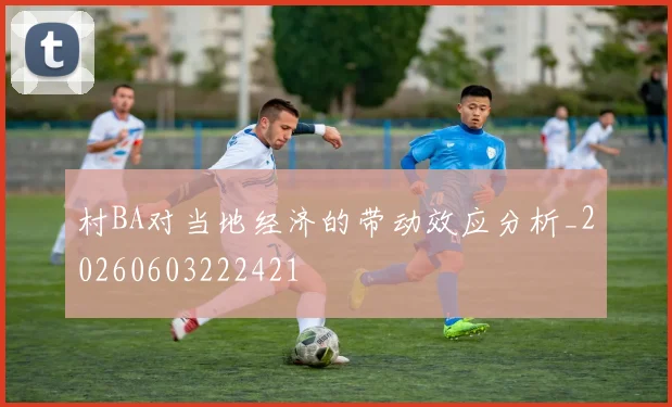 村BA对当地经济的带动效应分析_20260603222421