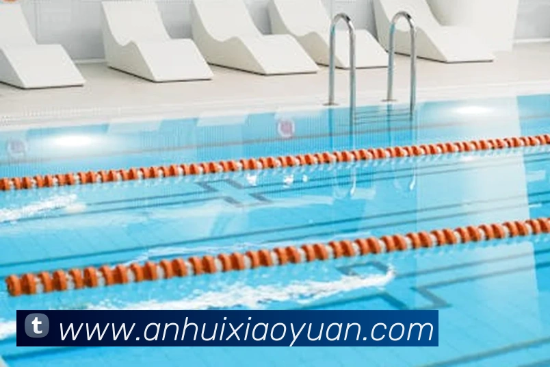 对战数据统计